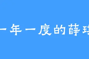 一年一度的薛琪