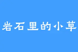 岩石里的小草