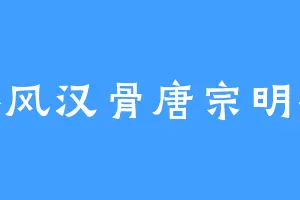 秦风汉骨唐宗明祖