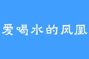 爱喝水的凤凰