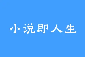 小说即人生