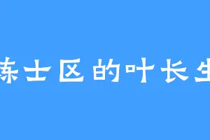 炼士区的叶长生