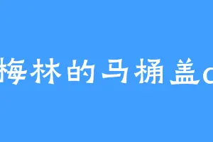 梅林的马桶盖a